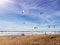 Beautiful view of people walking on the beach with flying gulls birds by the sea with blue sky