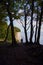 Beautiful view of people walking among tall trees in Jasmund National Park, Rugen, Germany