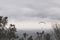 Beautiful view of a person paragliding over the trees and the ocean in the cloudy weather