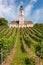Beautiful view of the pilgrimage church in Birnau at Lake Constance with the vines in the foreground