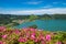 Beautiful view of pink flowers to background lake. Azores, Sao Miguel, Portugal.