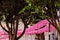 Beautiful view of pink umbrellas hanging above a street in Grasse, France