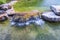 Beautiful view of pond decorated with big rocks. Clear water mirror surface effect