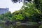 Beautiful view of a pond surrounded by nature in Koishikawa Botanical Gardens, Tokyo