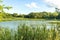 Beautiful view of the pond surrounded by woods and reeds