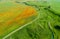 Beautiful view of the poppy field and the road, aerial photography