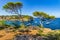 Beautiful view of Portals Vells Bay with boats on Majorca Spain