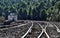 Beautiful view of railroads stretching into the green forest