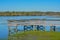 Beautiful view of Reed Bingham State Park from the fishing pier in Adel, Colquitt County, Georgia