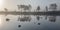 Beautiful view of a reflective lake in a forest with trees on a foggy day