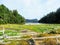 A beautiful view of a remote hiking trail going over driftwood and through a marsh towards a shallow cove