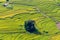 Beautiful view, Rice field terraces at Sapa, Vietnam