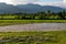 Beautiful view of rice fields in the swat valley after monsoon rain in the summer season