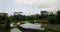 Beautiful view of rice terraces, Bali Indonesia, 4k video