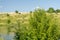 Beautiful view of river, green trees, hills and blue cloudy sky. Summer landscape