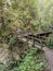 Beautiful view of river rock bed with wooden bridge across the riveri in the forest at nature park Kamacnik in Croatia