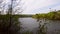 Beautiful view of the river through the trees, reflection of clouds on the water