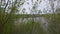 Beautiful view of the river through the trees, reflection of clouds on the water