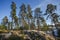 Beautiful view of rocky landskape with green pine trees and white house on blue sky backgrounds.