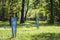 Beautiful view of row of young green saplings trees with blue pl