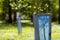 Beautiful view of row of young green saplings trees with blue pl