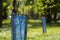 Beautiful view of row of young green saplings trees with blue plastic protective hedge on bright sunny day on blurred park, garden