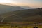 Beautiful view of the rows of vineyards