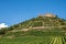 Beautiful view of the ruins of the castle in Staufen im Breisgau surrounded by vineyards