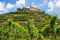 Beautiful view of the ruins of the castle in Staufen im Breisgau surrounded by vineyards