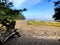 A beautiful view of the sandy beaches and pretty ocean surrounded by forest, of the north beach on Graham Island in Haida Gwaii