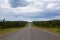 Beautiful View of a scenic road, Alaska Highway, in the Northern Rockies