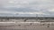 Beautiful view of seabirds flying over the sea under the cloudy sky