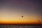 Beautiful view of seagulls flying in sky at sunrise in sea. Birds in colorful sky during sun rise, atmospheric moment. Sunset,