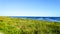 Beautiful view on seaside ocean bank, shore with green grass at sunny summer vacation. Panoramic scenic nature landscape