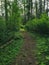 Beautiful view on the Shining Stone Hiking Trail during the summer at the Blue Lakes, Duck Mountain Provincial Park, Manitoba,