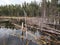 Beautiful view on the Shining Stone Hiking Trail during the summer at the Blue Lakes, Duck Mountain Provincial Park, Manitoba,