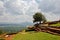 Beautiful view from Sigiriya with big tree