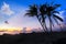 Beautiful view of silhouette palm tree