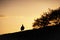 Beautiful view of silhouetted bird and trees against a sunset sky