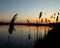 Beautiful view of silhouetted reeds against the colorful sky at sunset