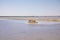 Beautiful view of Siwa salt lake in Siwa Oasis