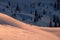 beautiful view of the slope covered with trees and freerider skier is sliding down