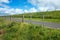 Beautiful view of a small asphalt country road through green meadows with barbed wire fence against blue sky on a sunny day.