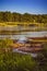 Beautiful view with a small source on the Odra River with a beautiful summer blurred background