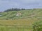 Beautiful view of a small village house in a big green field in Blokhus, Denmark