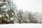 Beautiful view of snow covered forest. Rime ice and hoar frost covering trees. Chilly winter day. Winter landscape near Vilnius,