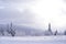 Beautiful view of snow-covered spruce in the mountains