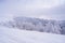 Beautiful view of snow-covered spruce in the mountains