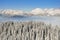 Beautiful view of the snow-covered spruces, mountains and low clouds in winter