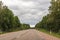 Beautiful view of solitary car on highway with tall green trees on both sides. Road stretches into distance.